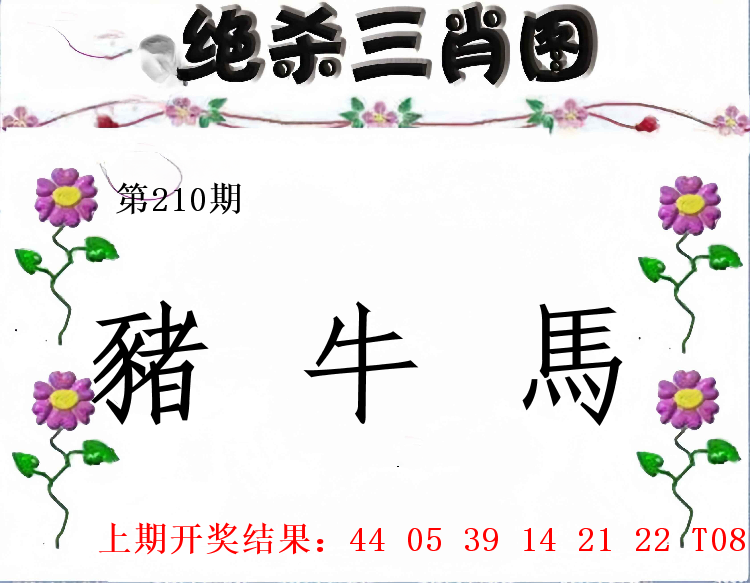 第209期