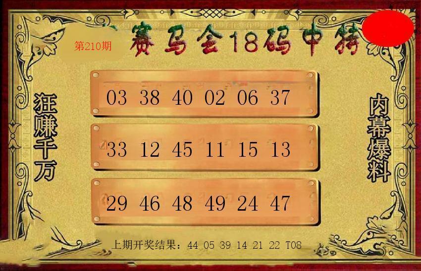 第209期